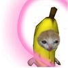 user942446530
