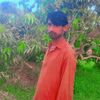 alamsamoon030868593