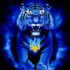 mykola_1358