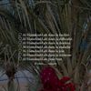leylaousmane738