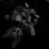angel_st0rme