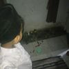 adi_visual
