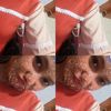 ranipuspitasari867