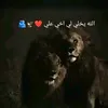 user10820627730126
