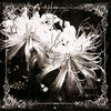 flowersisarerotting.631