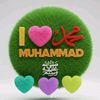 gulam.mustafa6447