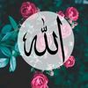 user5411335298719