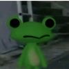 papita_frita142
