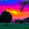 kewal.dass470