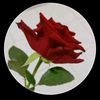 shukh_pakhi568