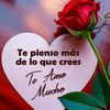 arely.castro.chir