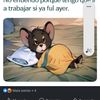 fernando12345614