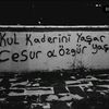 canaydogdu91