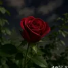 user4139196292449