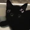 neilikka_x
