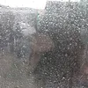 user.sasha8