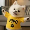 thelittlepipo