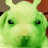 takis_fuego19