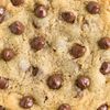 crustycookie420