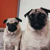 randomaccounts526