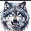 californiawolf27
