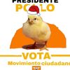 presidente.pollo6
