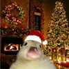 patito_navidad🦆🌲🎁