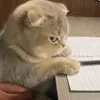 nguoibeonhatthegioi11
