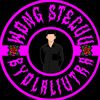 wong_stecuu14