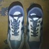 aditya71540