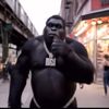 gorilladriptv