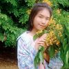 hnin.hnin6181