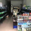 Kênh Cá Cảnh 2