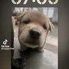 user3040663460860