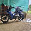 bang.dodo630