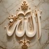user791585214