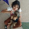 winwin.htay69