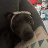 milo.wilcox0