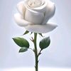 user8006793354870