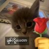 user233324814