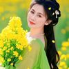 dawdaw4351
