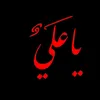 .ap..hasan