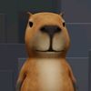 capybaralovers0