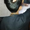 md.melonsardar