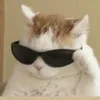 mr_kotik39