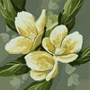 moch.nasiruddin