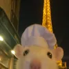 kellyzocagostodepiroka