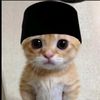 zoolmirza25