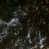 uwereneverthere5