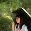 .ria344